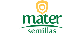 Mater Seeds